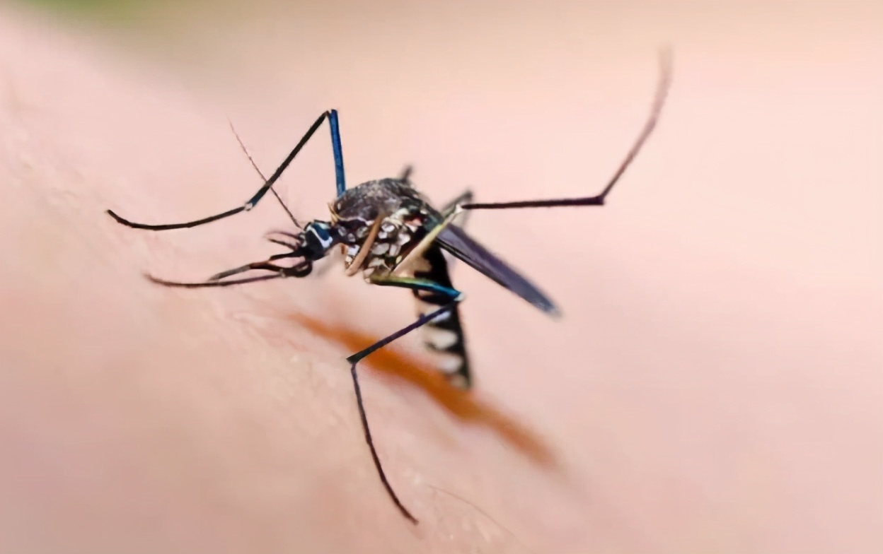 春夏之交蟲出沒，五一外出小心被蟲子爬上身