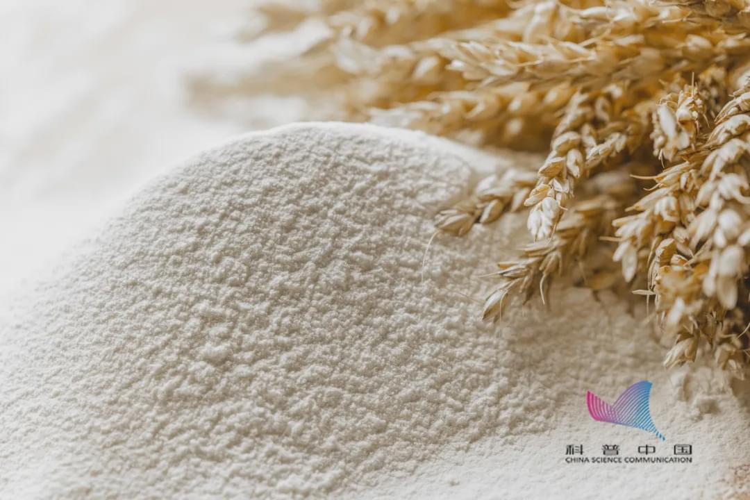 家里的米面為啥憑空出現(xiàn)小蟲？