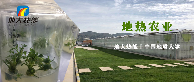 地?zé)嵩谵r(nóng)業(yè)中的綜合利用助力雙碳目標(biāo)實(shí)現(xiàn)|地?zé)徂r(nóng)業(yè)-地大熱能 地?zé)嵩谵r(nóng)業(yè)中的綜合利用助力雙碳目標(biāo)實(shí)現(xiàn)|地?zé)徂r(nóng)業(yè)-地大熱能