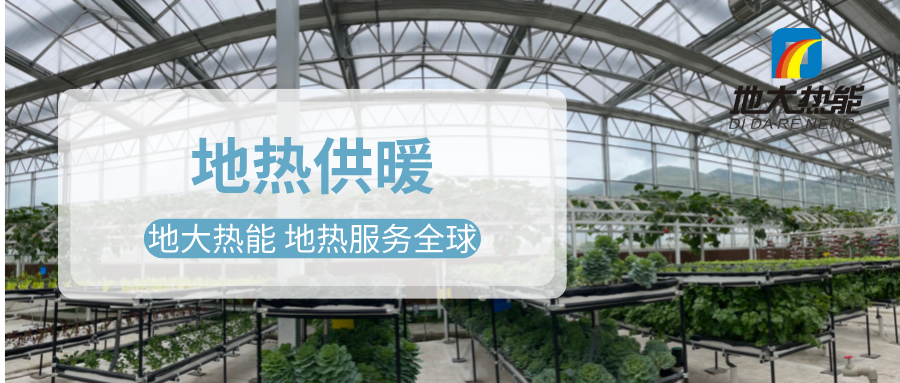 發(fā)揮地熱資源優(yōu)勢，地熱農(nóng)業(yè)實現(xiàn)花卉產(chǎn)業(yè)特色發(fā)展 | 地大熱能 地熱服務全球