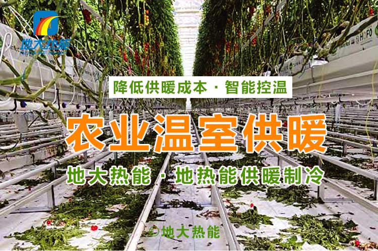 地熱溫室冷熱聯(lián)供系統(tǒng)幫助烏蘭察布園區(qū)農(nóng)業(yè)大棚供熱制冷-地源水源熱泵-地大熱能 地熱溫室冷熱聯(lián)供系統(tǒng)幫助烏蘭察布園區(qū)農(nóng)業(yè)大棚供熱制冷-地源水源熱泵-地大熱能