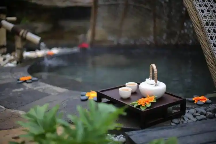 地熱溫泉醫(yī)養(yǎng)行業(yè)賦能新質(zhì)生產(chǎn)力發(fā)展-地熱開發(fā)利用-地大熱能 地熱溫泉醫(yī)養(yǎng)行業(yè)賦能新質(zhì)生產(chǎn)力發(fā)展-地熱開發(fā)利用-地大熱能